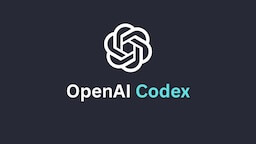ChatGPT (Codex)