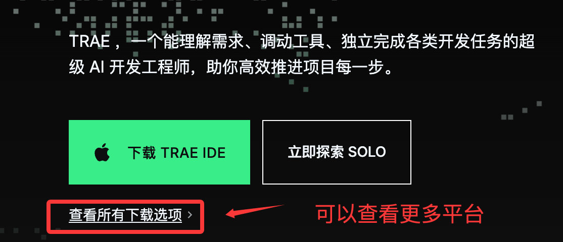 Trae 教程
